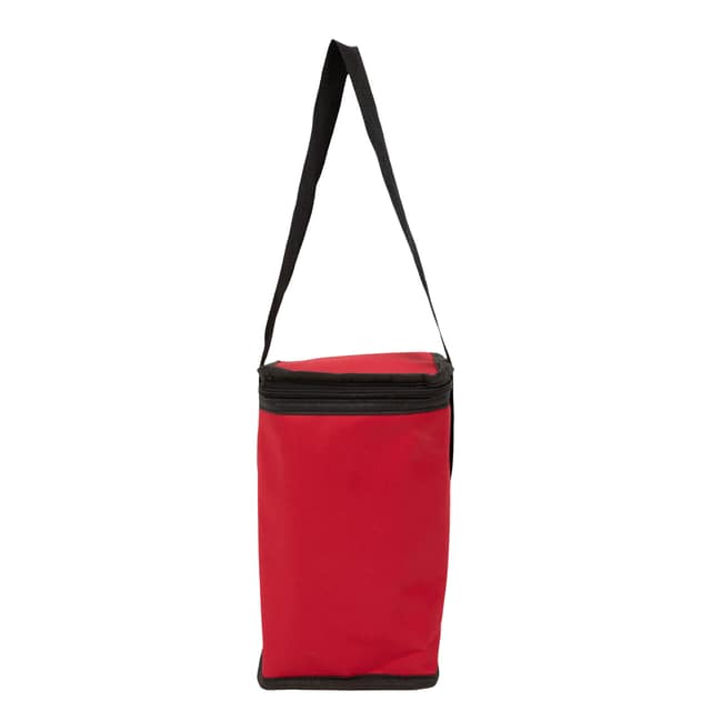 Insulated Cooler Bag 05